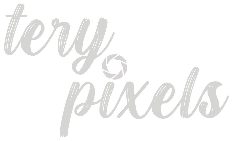 logo-terypixels
